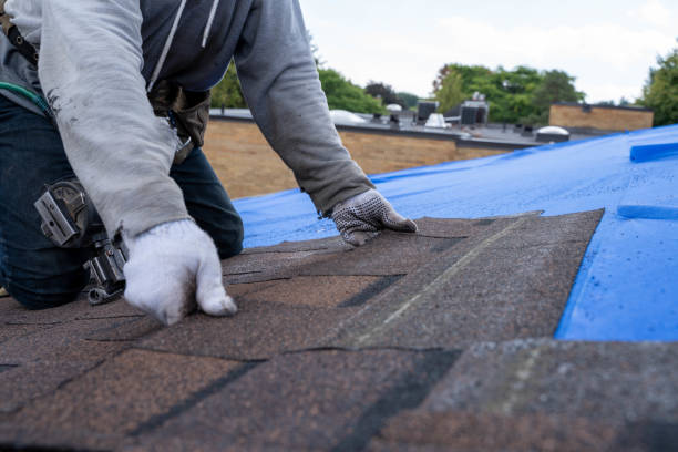 Best Roof Gutter Cleaning  in Republic, PA